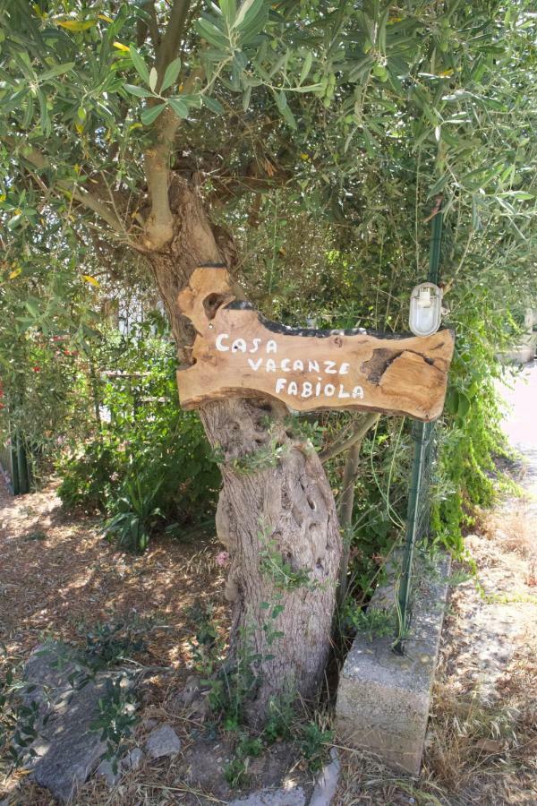 Casa Vacanza E Camera Fabiola Castellammare del Golfo Zewnętrze zdjęcie